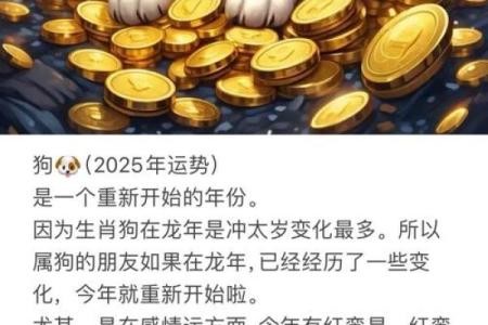 2025年属狗幸运色揭秘提升运势的最佳颜色选择