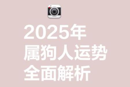 1994年狗2025年运势 2025年1994属狗人的全年运势