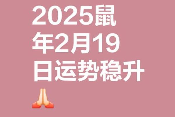 1996女鼠2025年运势 1996女鼠2025年运势
