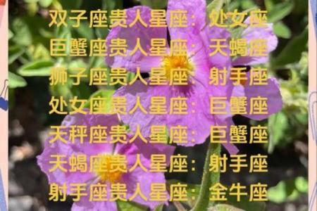 摩羯女今日运势解析星座运势全揭秘