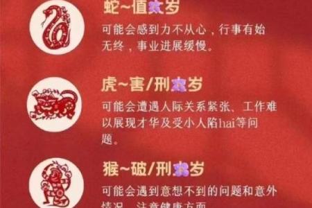 2025年属猪的运程1971每月运势 71年属猪人54岁最难熬