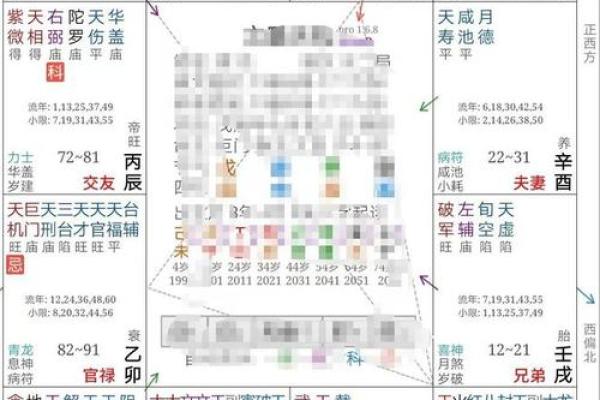 2025年4月10日子时女命紫微斗数全解盘 2025年4月10日子时女命紫微斗数全解盘
