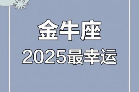 金牛座2025年感情运势
