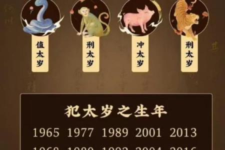 2025属猪人的全年运势如何_2025年属猪人全年运势详解财运事业感情全面解析