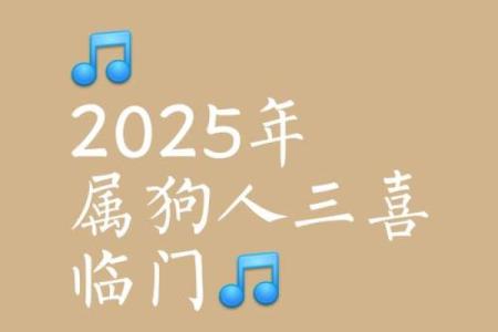 1982年属狗的人2025年运势 2025生肖狗82双喜临门