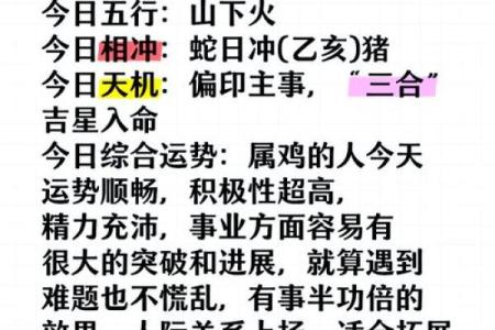 2026属鸡人全年运势详解财运事业爱情全面解析