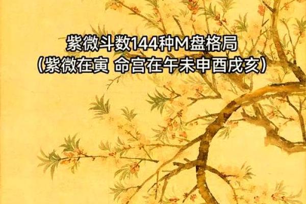 2025年4月19日亥时女命紫微斗数全解盘 2025年4月19日亥时女命紫微斗数全解盘