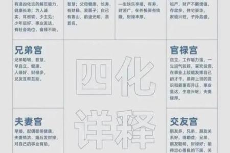 2025年4月19日亥时女命紫微斗数全解盘