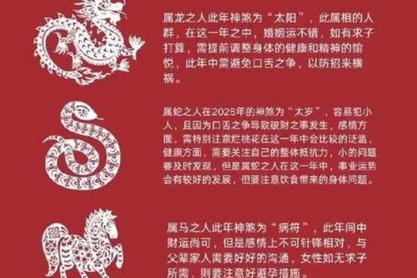 2025年1996属鼠女的全年运势 2025年1996属鼠女的全年运势