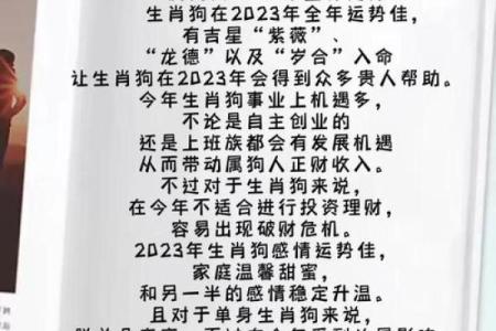1982年属狗人2025年运势及运程_1982年属狗人2025年运势详解运程预测与吉凶分析