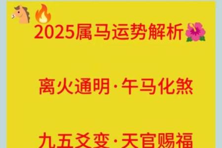 2025属马人全年运势详解事业财运健康运程全指南