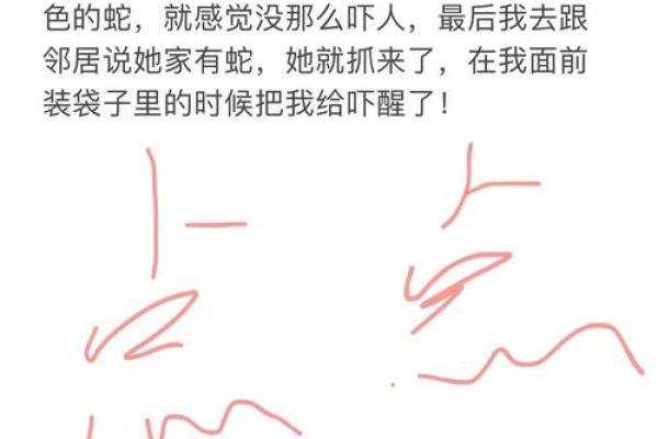 女人梦见两条蛇什么预兆 女人梦见两条蛇什么预兆