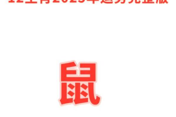 2025年属鼠的全年运势免费 2025年属鼠的全年运势免费