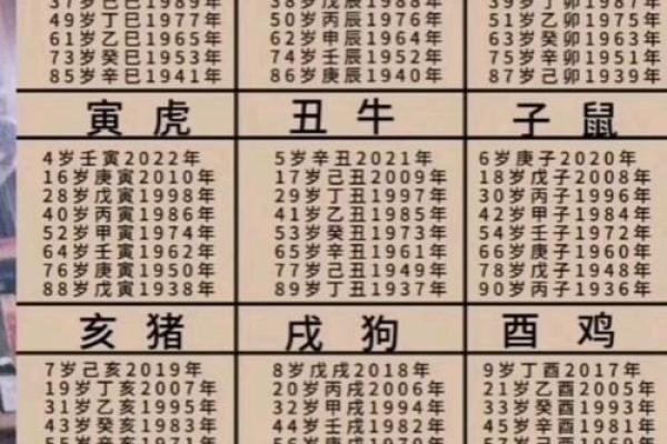 2026年的属相 2026年的属相