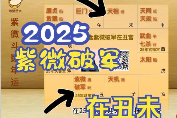 2025年4月25日子时男命紫微斗数全解盘 2025年4月25日子时男命紫微斗数全解盘