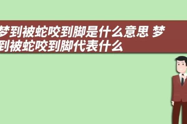 梦见被黑蛇咬是什么预兆 梦见被黑蛇咬是什么预兆