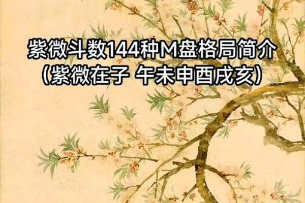 2025年4月24日丑时男命紫微斗数全解盘 2025年4月24日丑时男命紫微斗数全解盘