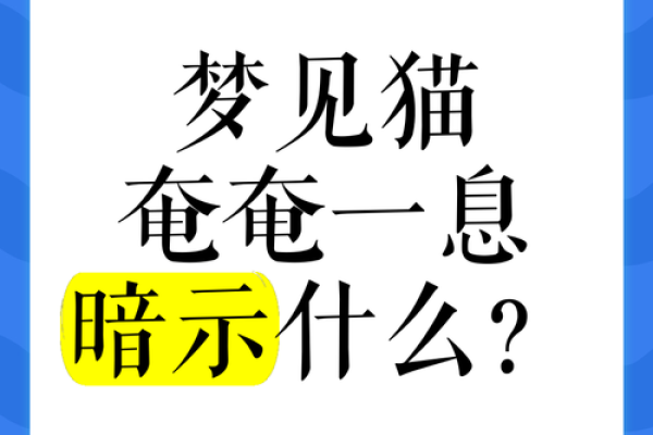 梦见被猫抓了 梦见被猫抓了
