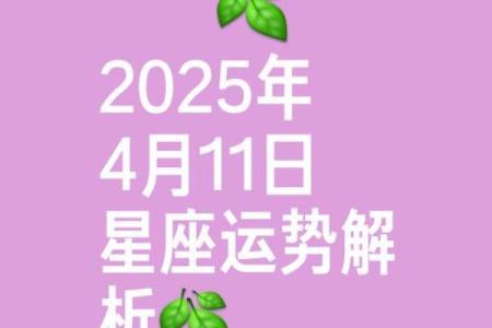 2025年十二星座运势_2025年十二星座运势紫薇黄历网
