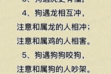 2023属狗要小心一个人 2023属狗要小心一个人吗