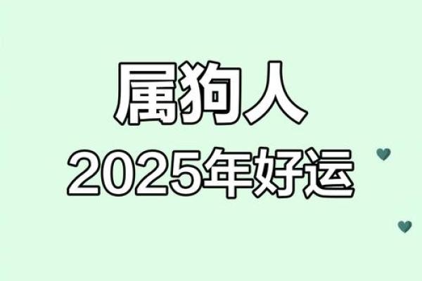 2025年属狗人的财运 2025年属狗人财运大揭秘财富运势全面解析 2025年属狗人的财运 2025年属狗人财运大揭秘财富运势全面解析
