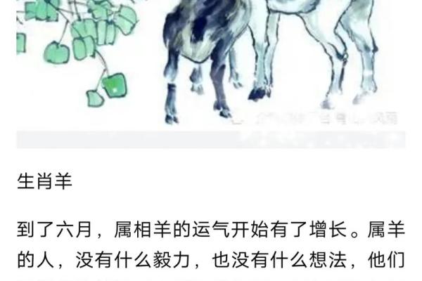 云淡风轻打一个生肖 云淡风轻打一个生肖