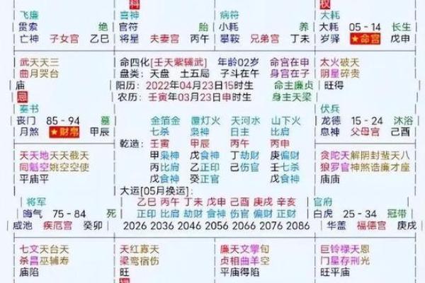 2025年4月12日子时男命紫微斗数全解盘 2025年4月12日子时男命紫微斗数全解盘