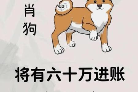 1994年2025年属狗的全年运势_94年狗在2025年运势及运程