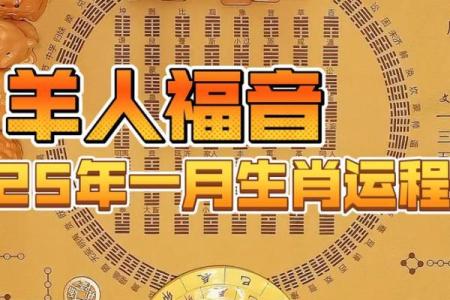 1991年属羊人2025年全年运势_1992年属羊2025年运势完整版