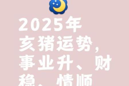 2025年属猪运势完整版_2025属猪最旺颜色