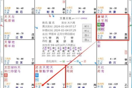 2025年4月9日卯时男命紫微斗数全解盘