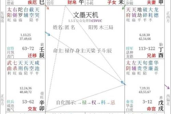 2025年4月20日卯时女命紫微斗数全解盘 2025年4月20日卯时女命紫微斗数全解盘
