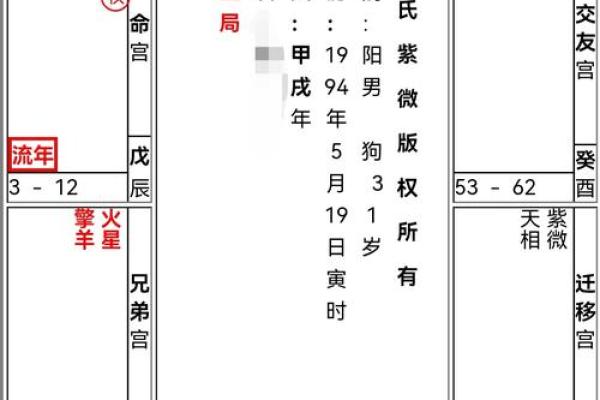 2025年4月30日子时男命紫微斗数全解盘 2025年4月30日子时男命紫微斗数全解盘
