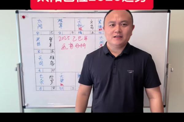 2025年4月17日午时男命紫微斗数全解盘 2025年4月17日午时男命紫微斗数全解盘