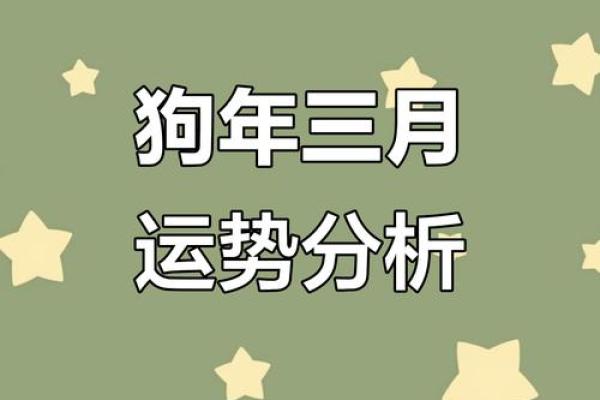 2025年属狗人全年每月运势详解及运势预测 2025年属狗人全年每月运势详解及运势预测