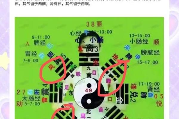 2025年4月23日戌时女命紫微斗数全解盘 2025年4月23日戌时女命紫微斗数全解盘