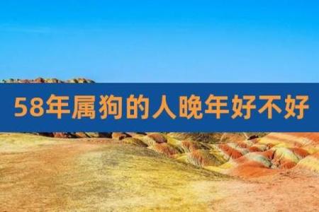 58年的狗是什么命五行属什么呢_58年的狗属于什么命