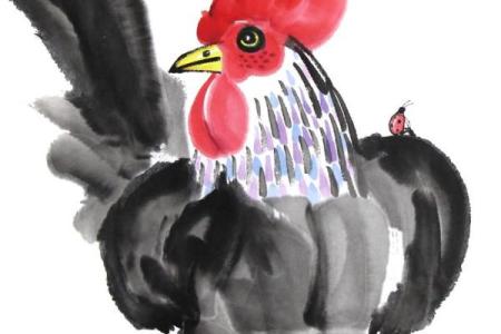 如雷贯耳打一动物生肖(如雷贯耳打一个生肖)