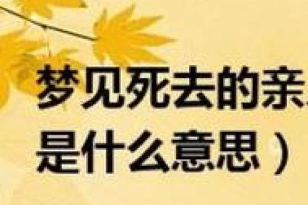 媳妇梦到死去的公