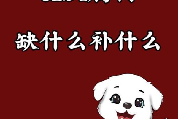 1994年属狗2025年多大_1994年属狗2020年几岁 1994年属狗2025年多大_1994年属狗2020年几岁