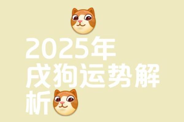 2025年属狗男运势解析婚姻与事业双丰收 2025年属狗男运势解析婚姻与事业双丰收