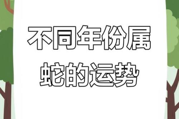 53年属什么 53年属什么