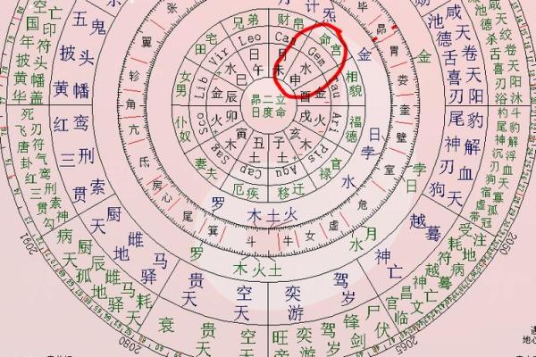 2025年4月24日亥时女命紫微斗数全解盘 2025年4月24日亥时女命紫微斗数全解盘