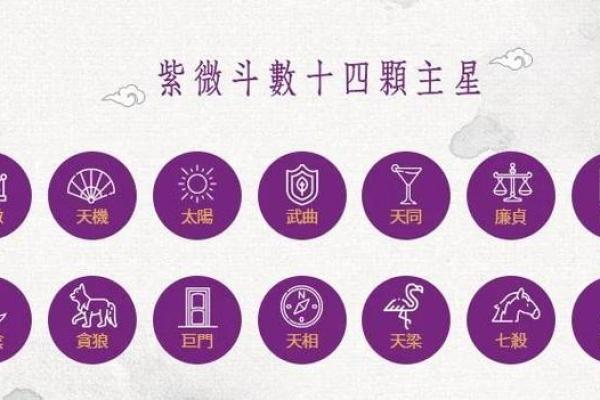 2025年4月14日子时男命紫微斗数全解盘 2025年4月14日子时男命紫微斗数全解盘