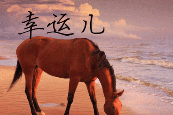 属狗和属马的适合做夫妻吗_属狗的和属马的在一起合适吗 属狗和属马的适合做夫妻吗_属狗的和属马的在一起合适吗