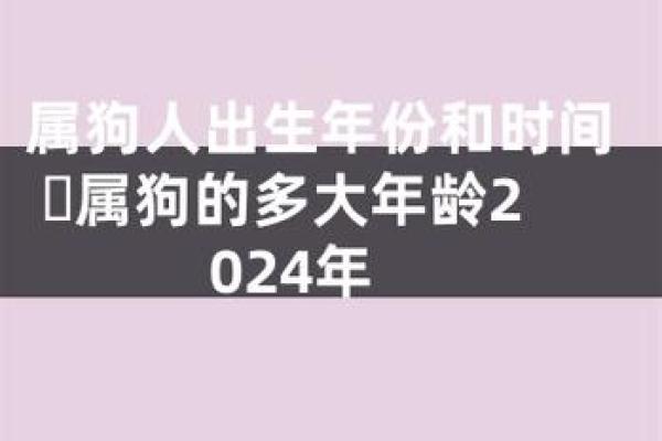 属狗的多大了岁数表 属狗年龄对照表2023年最新岁数查询 属狗的多大了岁数表 属狗年龄对照表2023年最新岁数查询