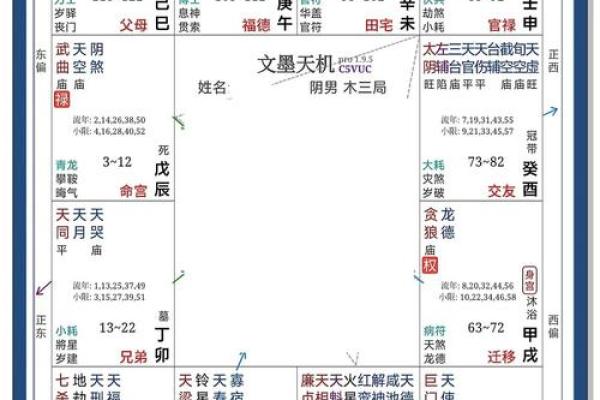 2025年4月20日申时男命紫微斗数全解盘 2025年4月20日申时男命紫微斗数全解盘