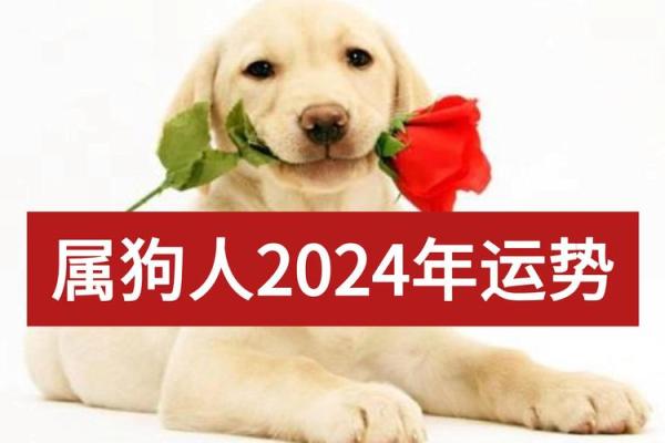 70年属狗2025年运势完整版_70年属狗2025年运势详解全年运程完整版 70年属狗2025年运势完整版_70年属狗2025年运势详解全年运程完整版