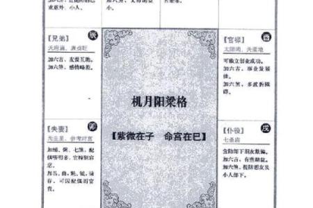 2025年4月23日酉时女命紫微斗数全解盘