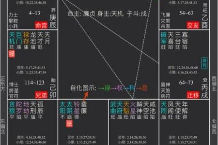 2025年4月16日亥时男命紫微斗数全解盘